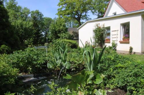 a garden with a pond in front of a house at Ferienwohnung An den Tannen in Bartelshagen