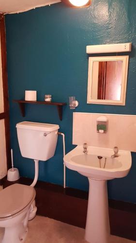 a blue bathroom with a toilet and a sink at The Wheatsheaf Inn in Ludlow