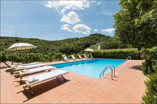 a swimming pool with lounge chairs and an umbrella at Petrolo in Bucine