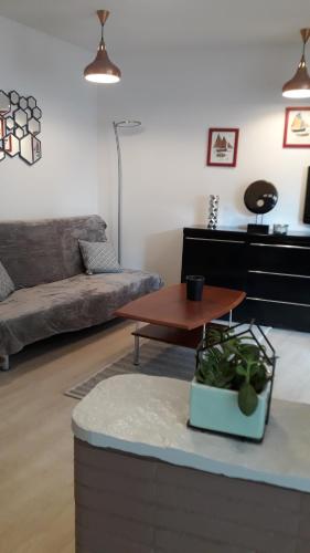 a living room with a couch and a coffee table at Tiguil in Le Guilvinec