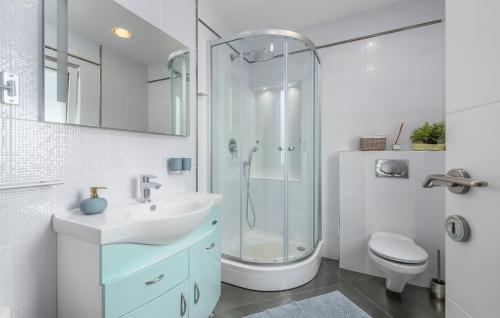 a bathroom with a shower and a sink and a toilet at Luxury Villa Lavanda with Pool and Sauna in Kanfanar