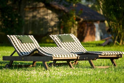 two chairs sitting in the grass in a field at Schlegelhof in Kirchzarten