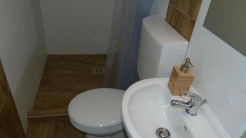 a bathroom with a white toilet and a sink at Duna Dráva Vendégház in Érsekcsanád