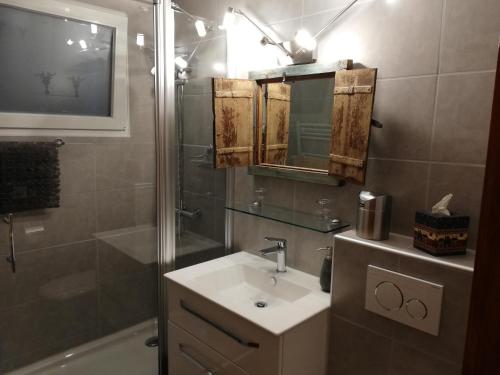 La salle de bains est pourvue d'un lavabo et d'une douche. dans l'établissement Jack, à Schwarzsee