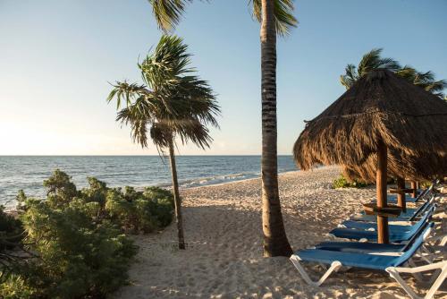 una playa con sillas, sombrilla de paja y palmeras en Princess Family Club Riviera - All Inclusive, en Playa del Carmen
