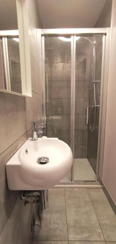a bathroom with a white sink and a shower at Furzeleigh Mill Inn in Buckfastleigh