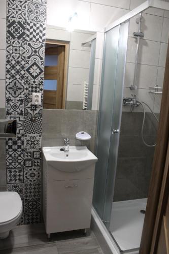 ブコビナ・タトシャンスカにあるWilla u Tomaliのバスルーム(シンク、シャワー、トイレ付)
