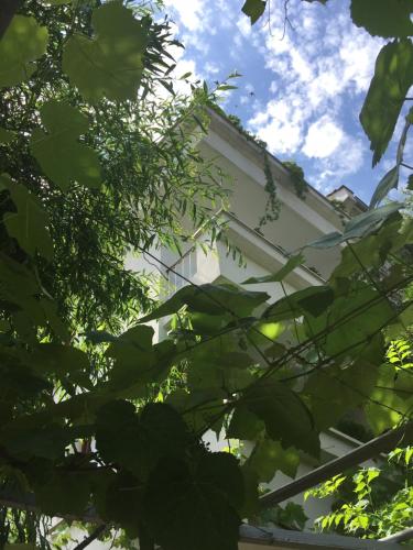 Gallery image of Guest House Barbov in Obzor