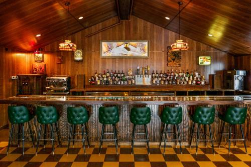 um bar com bancos verdes num quarto em The Dive Motel and Swim Club em Nashville