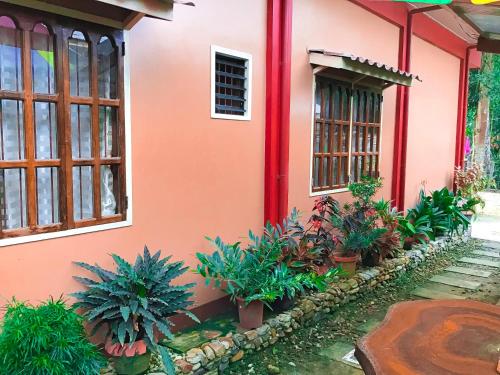 Zahrada ubytování Ferranco Tourist Inn