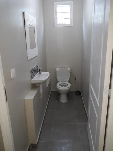 a white bathroom with a toilet and a sink at VILLA CAPACITE 6 PERSONNES PROCHE PLAGES DU Sud in Rivière-Pilote