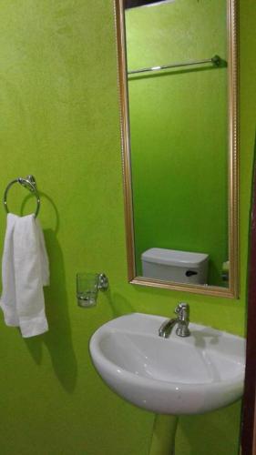 a green bathroom with a sink and a mirror at Hotel Chalets Los Volcanes in Alajuela City