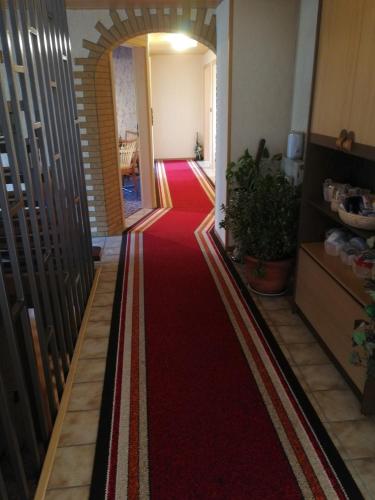 a hallway with a red carpet and a red floor at Gasthaus Hochwald in Hattgenstein