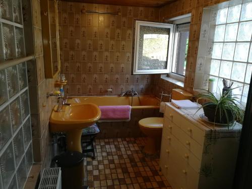 Kúpeľňa v ubytovaní Gasthaus Hochwald