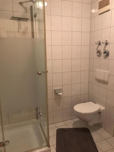 a bathroom with a shower and a toilet and a tub at Ferienresidenz Am weißen Regen in Bad Koetzting