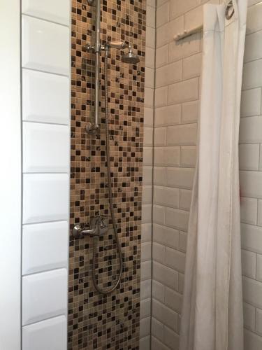a shower in a bathroom with a shower curtain at Summerhouse Zandvoort in Zandvoort