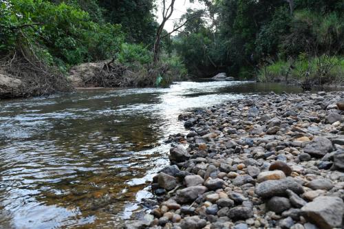 Landskap semula jadi dekat dengan homestay