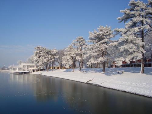 a river with snow covered trees and a building at Vila Madams - Palić-Serbia in Palić