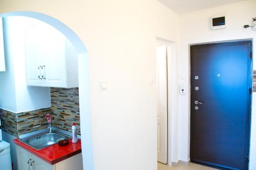 eine Küche mit einem Waschbecken und einer blauen Tür in der Unterkunft Studio Alexandra in Galaţi