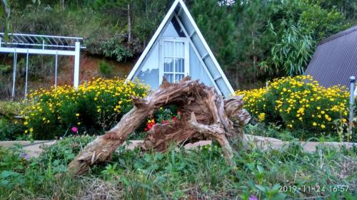 a house with a window and a tree stump in a garden at Tuyết Hoa Hòn Bồ Homestay in Da Lat