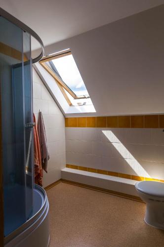 a skylight in a bathroom with a shower and a toilet at Agroturystyka Leśna Dolinka in Narty