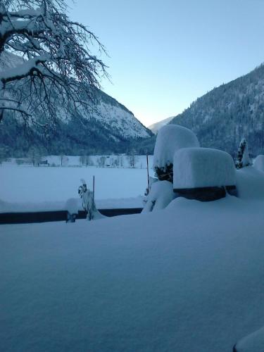 un patio cubierto de nieve con nieve coches cubiertos y un árbol en Pension Mühlbauer, en Bayrischzell