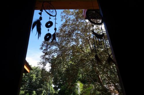 Taman di luar Peaceland Hostel