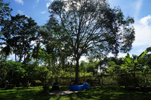 Taman di luar Peaceland Hostel