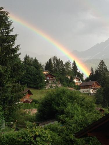 Naturlandschaft in der Nähe der Ferienwohnung