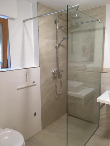 a glass shower with a toilet and a sink at Freundliches Studio bei Böblingen in Altdorf
