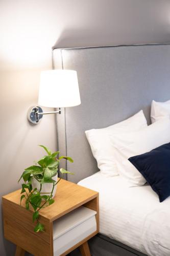 a bed with a lamp and a plant on a night stand at CHROMA FASHION ROOMS & APARTMENTS in Athens
