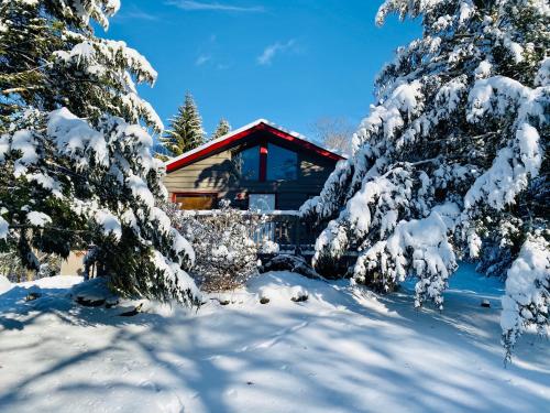 a cabin in the snow with snow covered trees at Roscoe Cabin Pet friendly in Roscoe