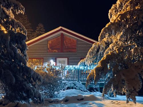 a cabin covered in snow at night with lights at Roscoe Cabin Pet friendly in Roscoe