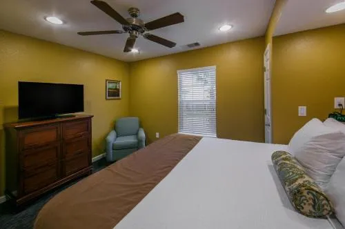 Holiday Inn Club Vacations - Orlando Breeze Resort photo 22