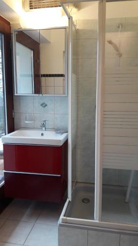 uma casa de banho com um lavatório vermelho e um chuveiro em RELAX in der Natur 2 Zimmer Apartment - im Grünen - Ruhelage em Kennelbach