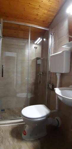 a bathroom with a shower and a toilet and a sink at Guesthouse Budima in Banići