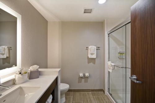 a bathroom with a toilet and a sink and a shower at Holiday Inn Express & Suites - Houston NASA - Boardwalk Area, an IHG Hotel in Seabrook