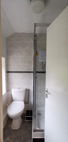 a bathroom with a toilet and a shower at Furzeleigh Mill Inn in Buckfastleigh