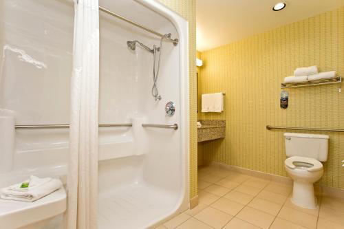 a bathroom with a shower and a toilet at Holiday Inn Express Stephens City, an IHG Hotel in Stephens City