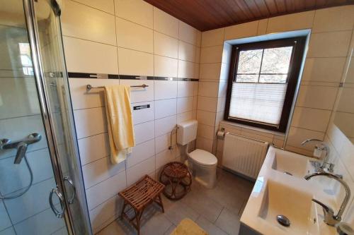 a bathroom with a sink and a toilet and a shower at Ferienhaus zur alten Gärtnerei in Kirchberg am Wechsel