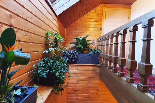 a hallway with potted plants on a wooden wall at Ferienhaus zur alten Gärtnerei in Kirchberg am Wechsel