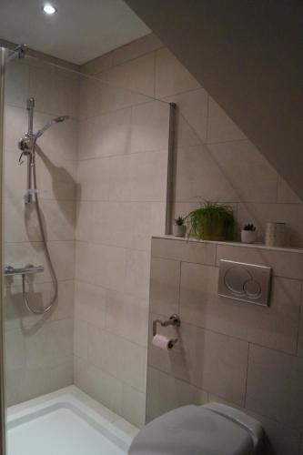 a bathroom with a shower and a toilet at Gîtes du Taennchel in Thannenkirch