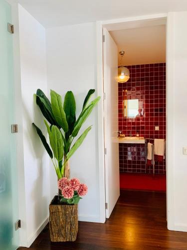 a plant in a room with a bathroom at Villa Mar Garajau in Caniço