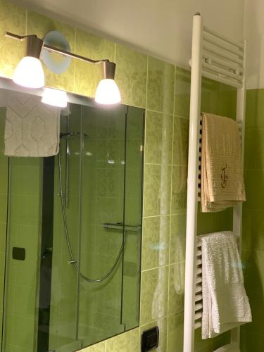a green bathroom with a shower with a glass door at Tenuta Monaci La Murra in Carmiano