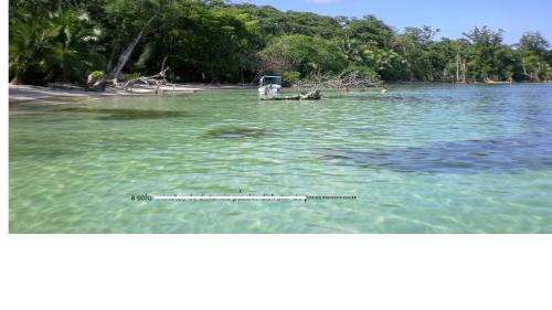 Yellow Houses Bocas – Photos 2