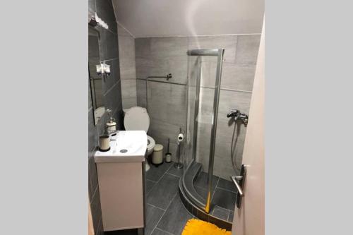 a bathroom with a shower and a toilet and a sink at Apartman Iva in Belgrade
