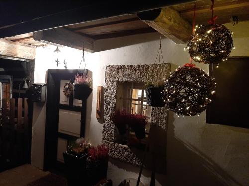 a room with potted plants on the wall at Chata "Na pohodu" in Chřibská
