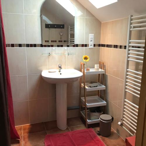 une salle de bain avec un lavabo et un miroir dans l'établissement Gîte les Prairies, à Maresches