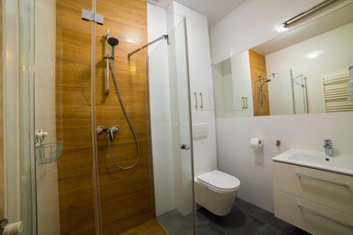 a bathroom with a shower and a toilet and a sink at Apartamenty Słoneczny Przystanek in Szczyrk