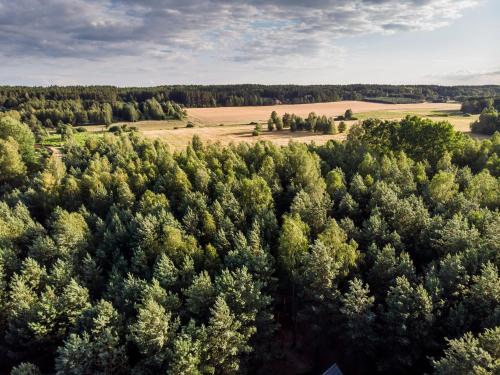 an aerial view of a forest of green trees at Łosia Chata in Grzybowce